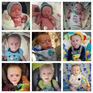 Meet your Posher, Alex